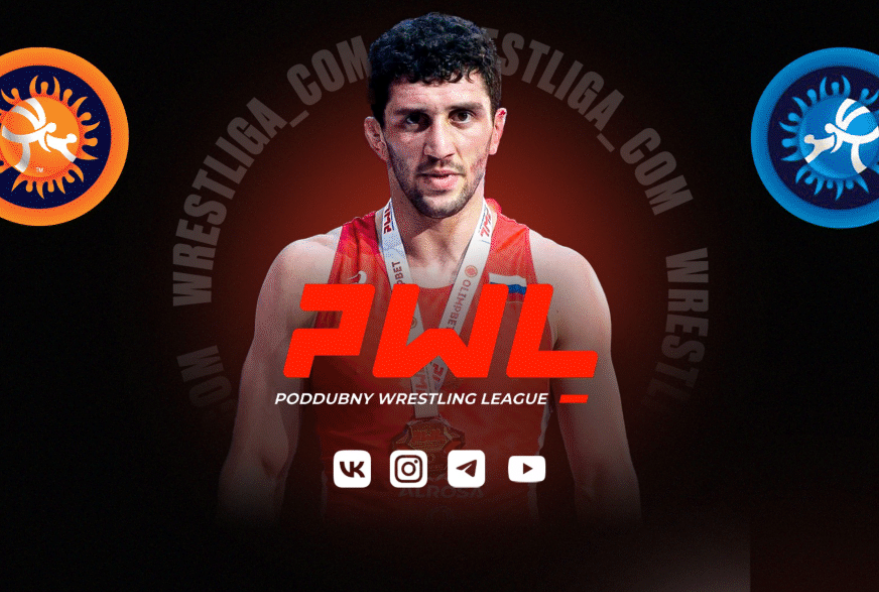 Кейс: PWL — Poddubny Wrestling League